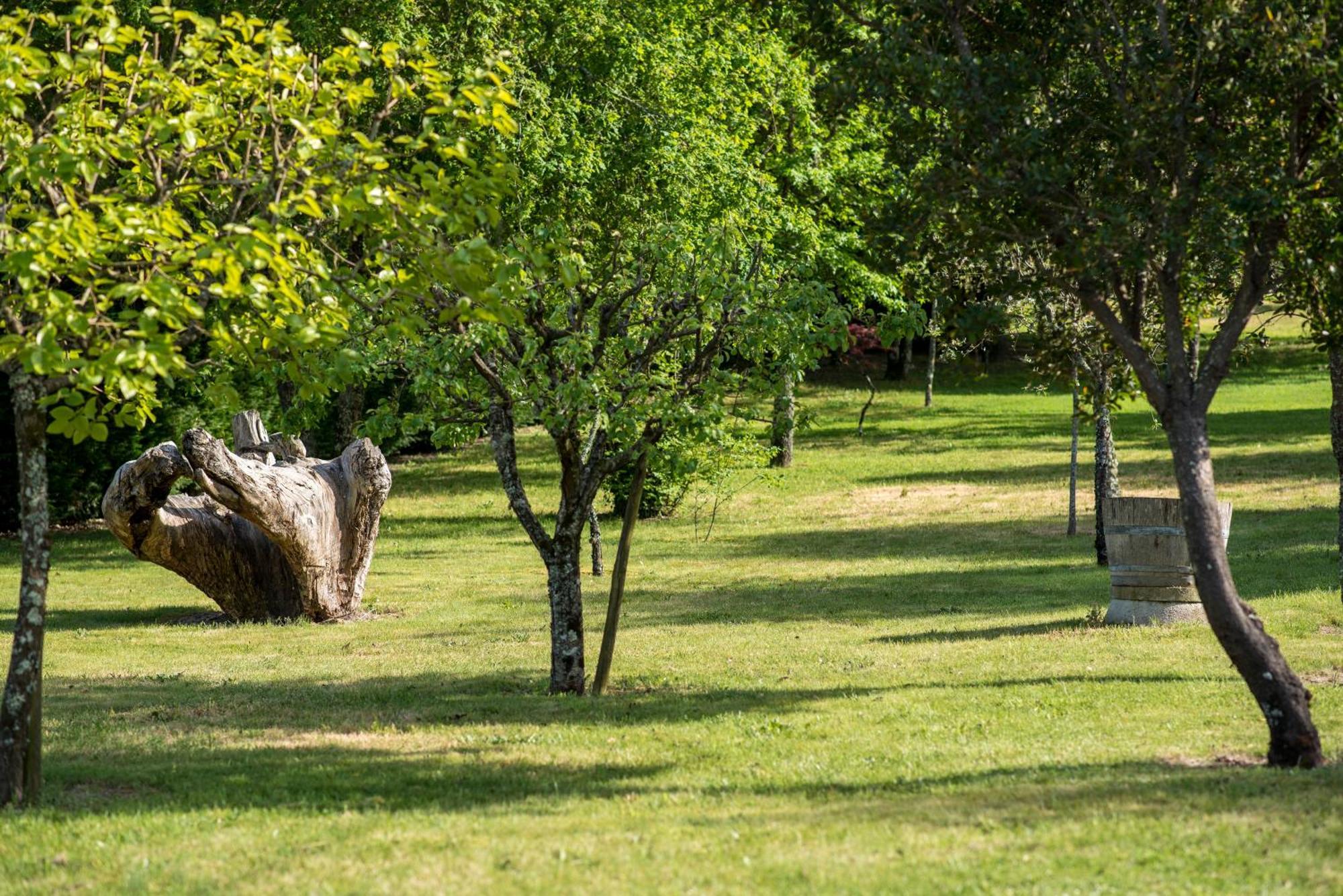 Barrocal Nature Houses Nelas Exterior foto